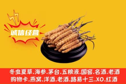 昆明回收冬虫夏草